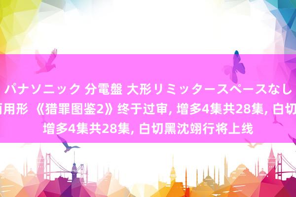 パナソニック 分電盤 大形リミッタースペースなし 露出・半埋込両用形 《猎罪图鉴2》终于过审， 增多4集共28集， 白切黑沈翊行将上线