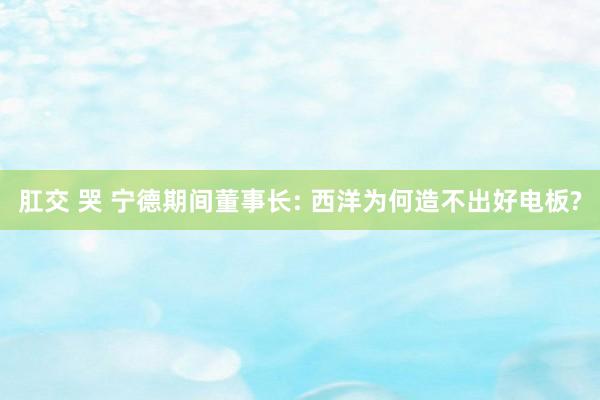 肛交 哭 宁德期间董事长: 西洋为何造不出好电板?
