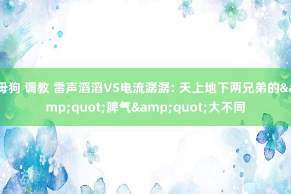 母狗 调教 雷声滔滔VS电流潺潺: 天上地下两兄弟的&quot;脾气&quot;大不同